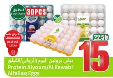 Protein Alyoum/Al Rawabi Alfailaq Eggs