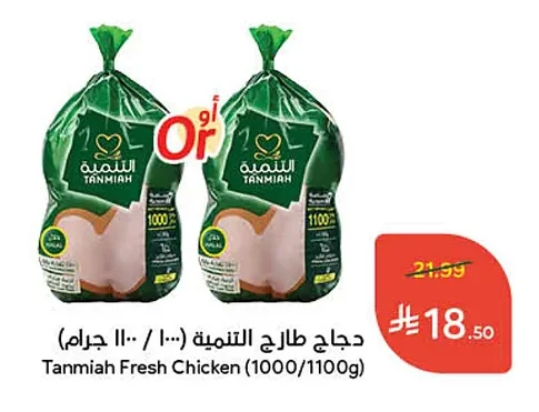 دجاج طازج التنمية