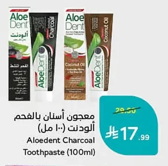 Aloedent Charcoal Toothpaste