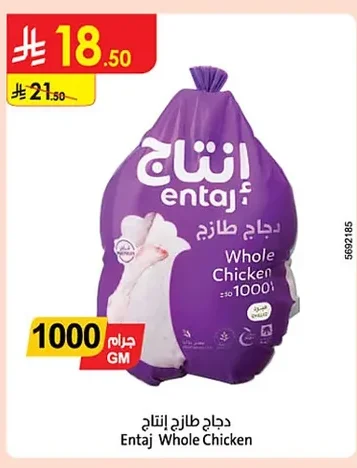 دجاج طازج إنتاج