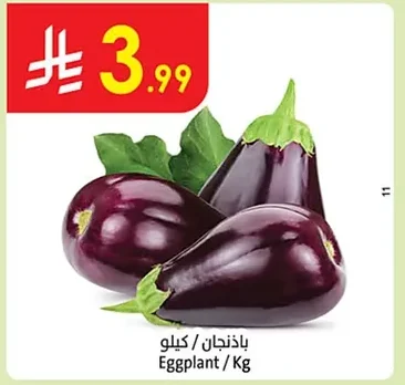 Eggplant / Kg