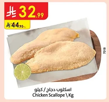 اسكلوب دجاج