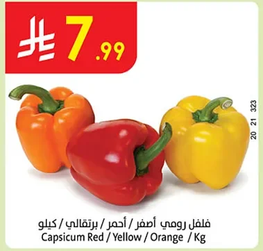 فلفل رومي أحمر / أصفر / برتقالي