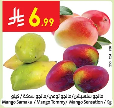 مانجو سنسيشن/مانجو تومي/مانجو سمكة