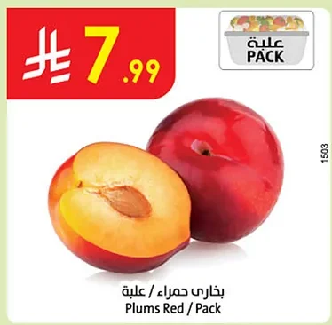 بخاري حمراء