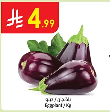 Eggplant