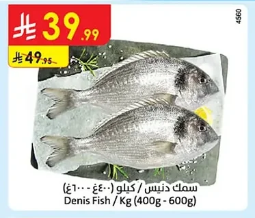Denis Fish / Kg (400g - 600g)