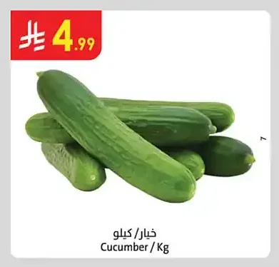 Cucumber