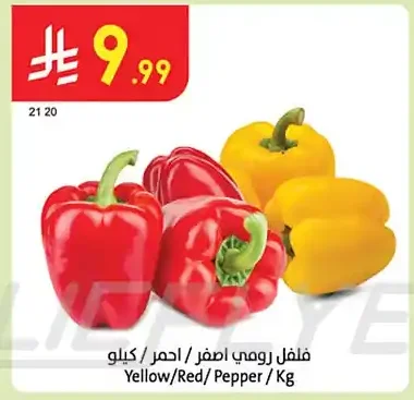فلفل رومي احمر / اصفر / كيلو