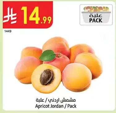 مشمش اردني / علبة