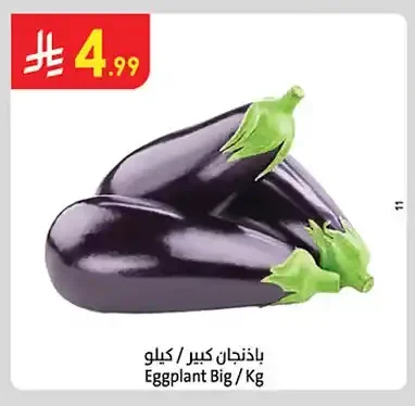 باذنجان كبير