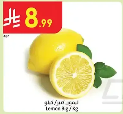 ليمون كبير