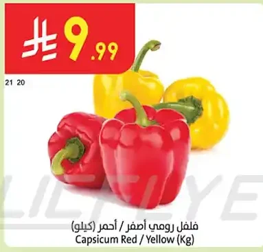 فلفل رومي أحمر / أصفر