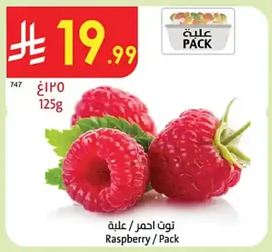توت احمر