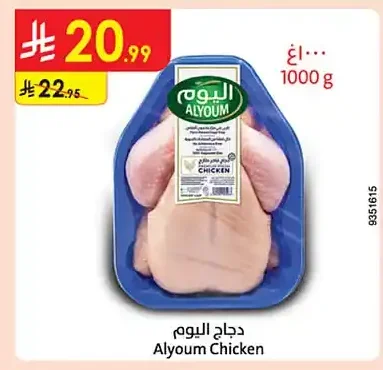 دجاج اليوم