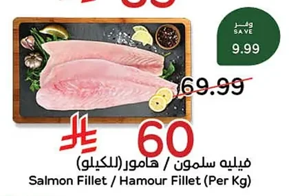 Salmon Fillet / Hamour Fillet