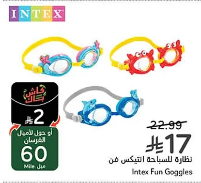 Swimming Goggles