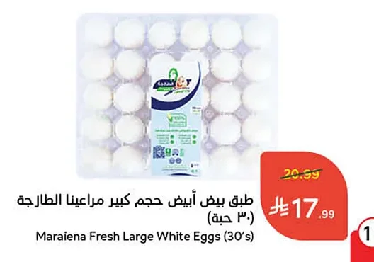Large White Eggs