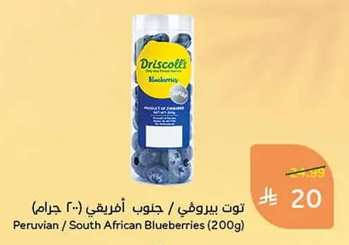 Peruvian / South African Blueberries