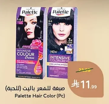 Hair Color Palette