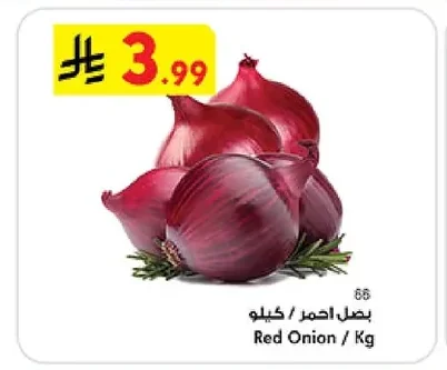 Red Onion