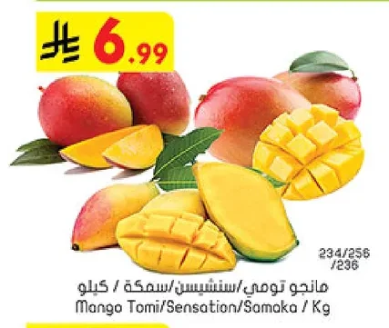 Mango Tomi/Sensation/Samoka