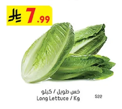 Long Lettuce