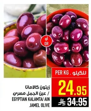 EGYPTIAN KALAMTA/ AIN JAMEL OLIVE