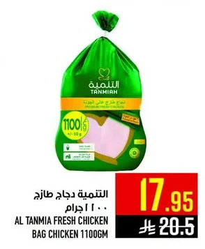 التنمية دجاج طازج