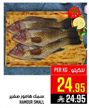 HAMOUR SMALL