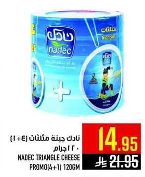 Nadec Triangle Cheese