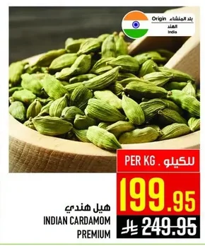 هيل هندي