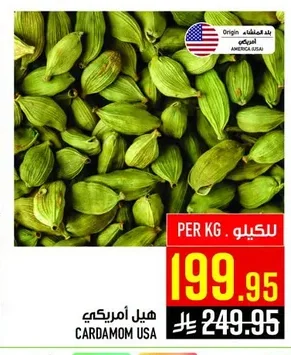 هيل أمريكي