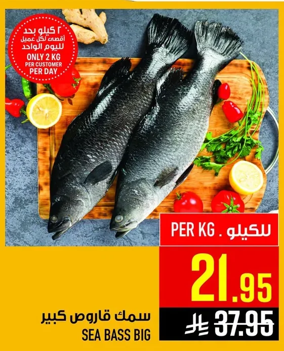 SEA BASS BIG