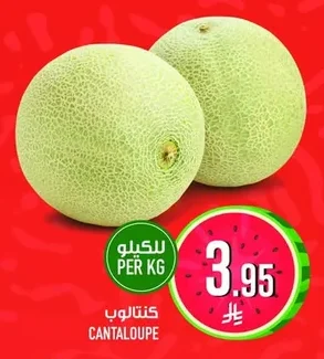 كنتالوب