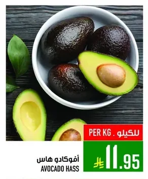AVOCADO HASS