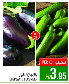 EGGPLANT / CUCUMBER