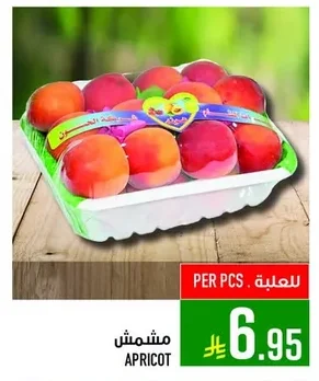 مشمش