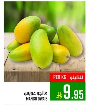 MANGO OWAIS
