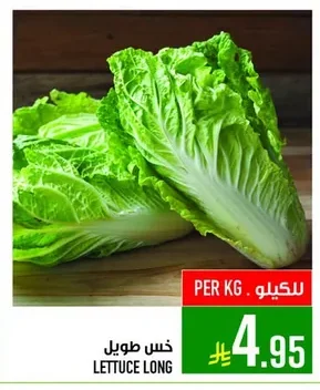 خس طويل