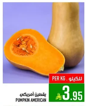 PUMPKIN AMERICAN