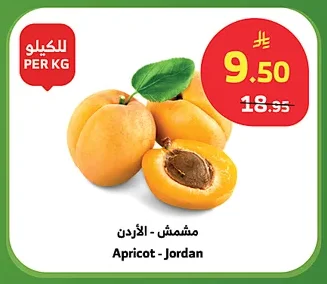 مشمش