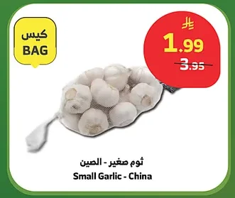 ثوم صغير