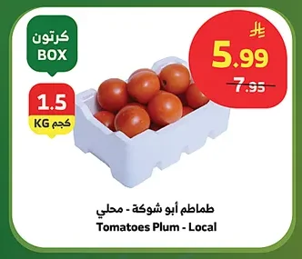 طماطم أبو شوكة