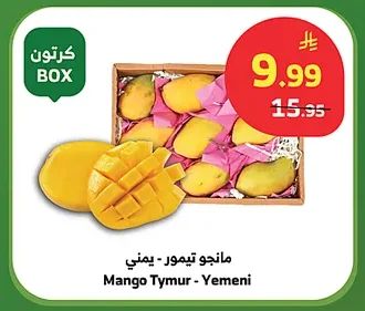 مانجو تيمور