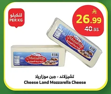 Cheese Land Mozzarella Cheese