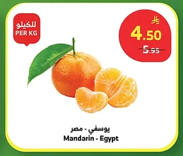 Mandarin - Egypt