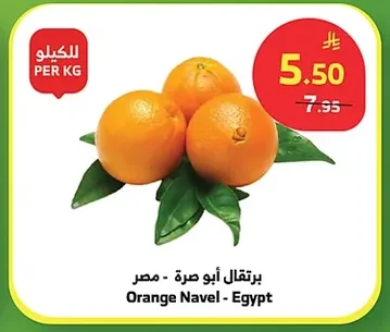 Orange Navel - Egypt