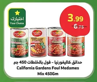 Foul Medames with Mixes