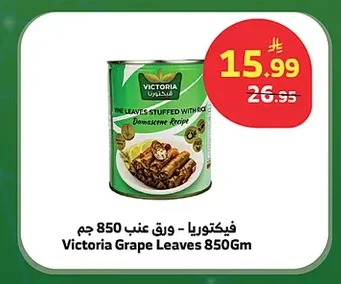 Stuffed Grape Leaves